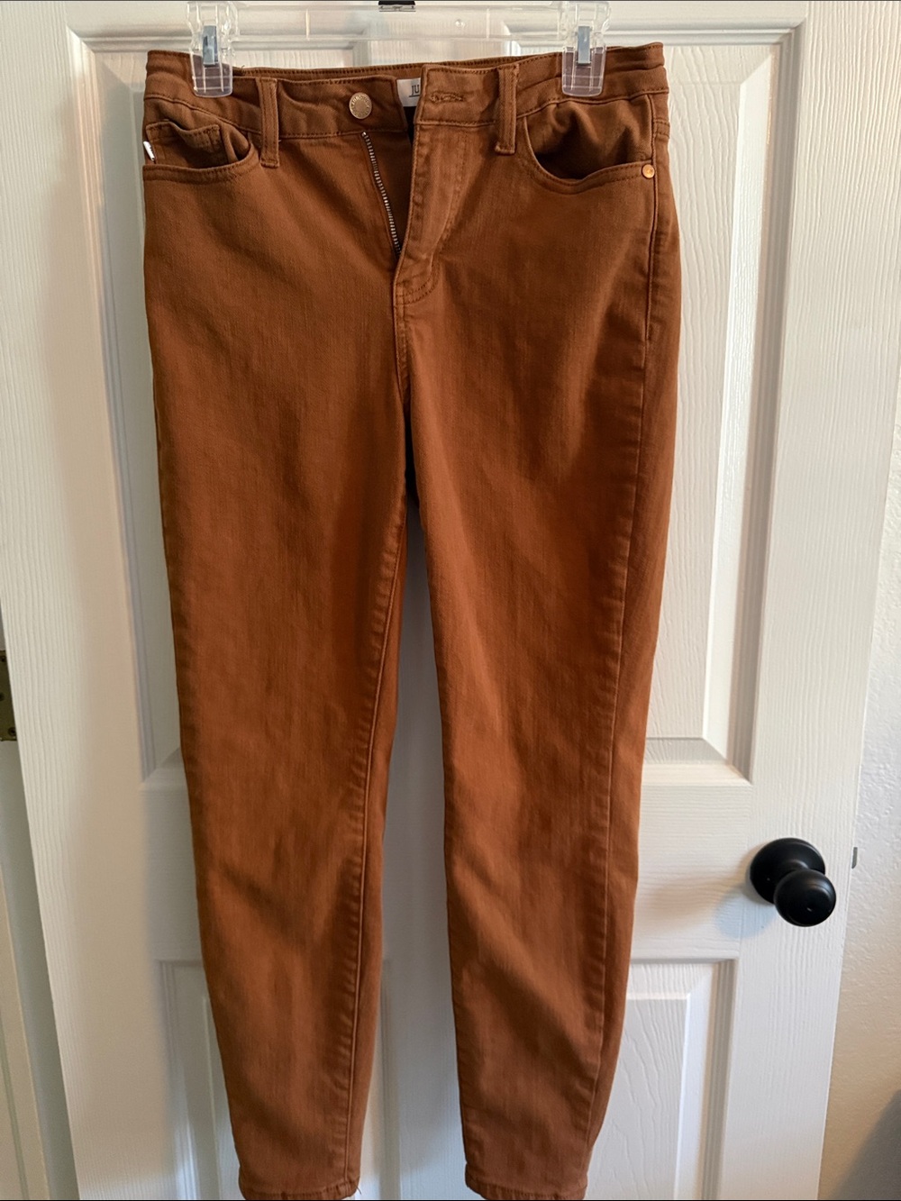 Judy Blue Skinny Jeans in Burnt Orange